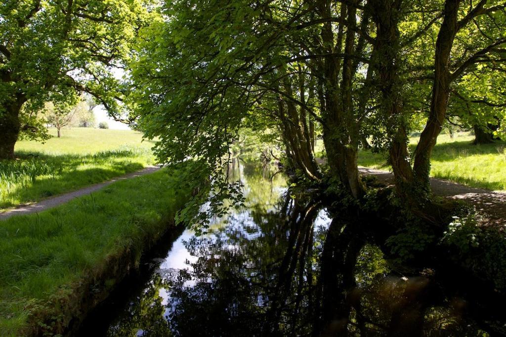 Tully'S Hotel Castlerea Dış mekan fotoğraf
